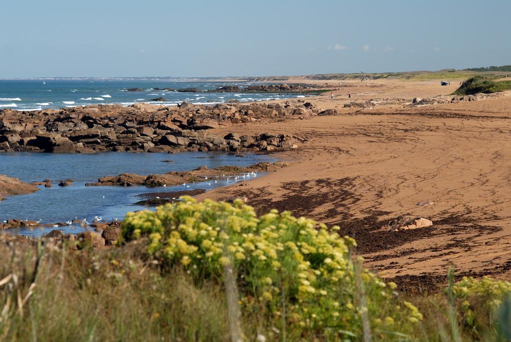 Vacanceole - Les Jardins De L'Amiraute Les Sables-dʼOlonne Zewnętrze zdjęcie